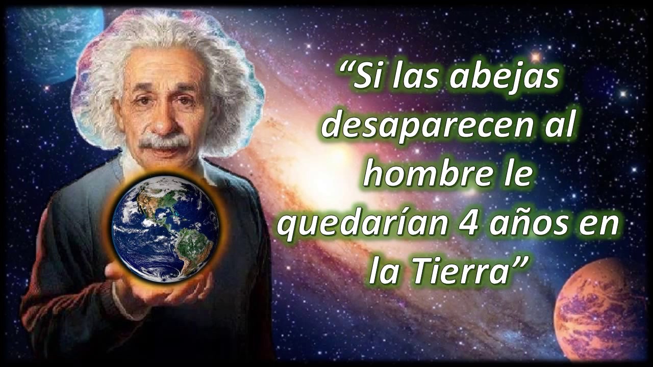 Albert-Einstein-41